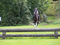IMG_1512_web